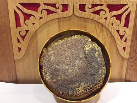 Kara Kovan Balı